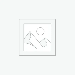 Elektrijalgratas